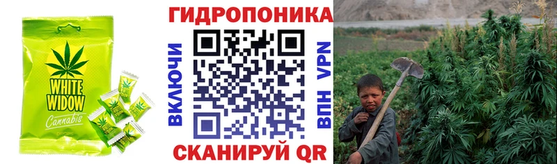 блэк спрут онион  купить наркоту  Каменск-Шахтинский  Canna-Cookies марихуана 