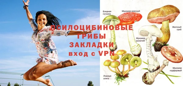 мдпв Волоколамск
