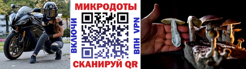 Псилоцибиновые грибы ЛСД  хочу   Каменск-Шахтинский 