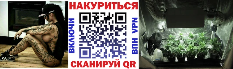 Бошки марихуана SATIVA & INDICA  цена   Каменск-Шахтинский 